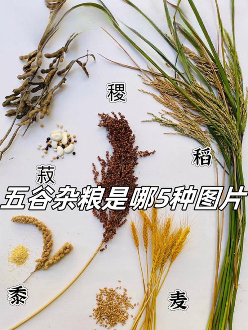 五谷杂粮